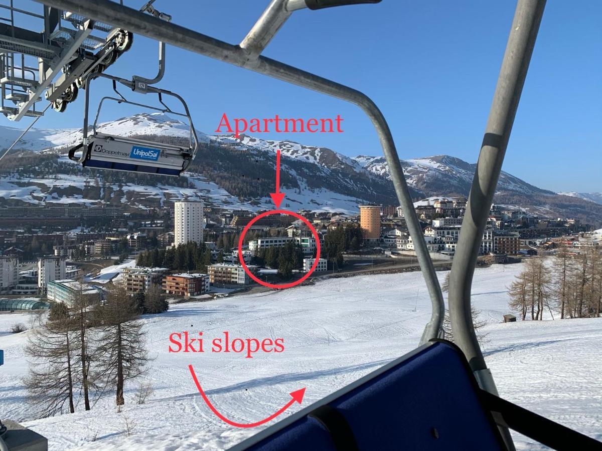 Nice House On The Ski Slopes سيستريير المظهر الخارجي الصورة